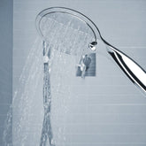 دش يدوي بمرآة- فضي